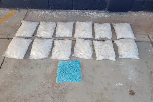 Aseguran narcóticos en vagón del tren; abren carpeta de investigación