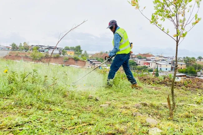 Mejoran imagen del periférico Luis Donaldo Colosio