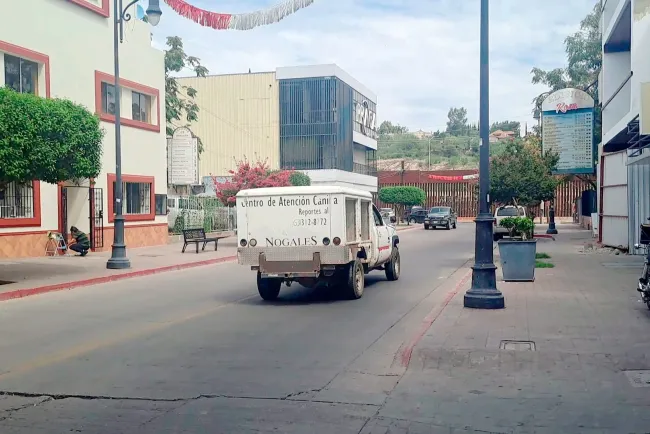 Atropellan a perro y lo deja mal herido