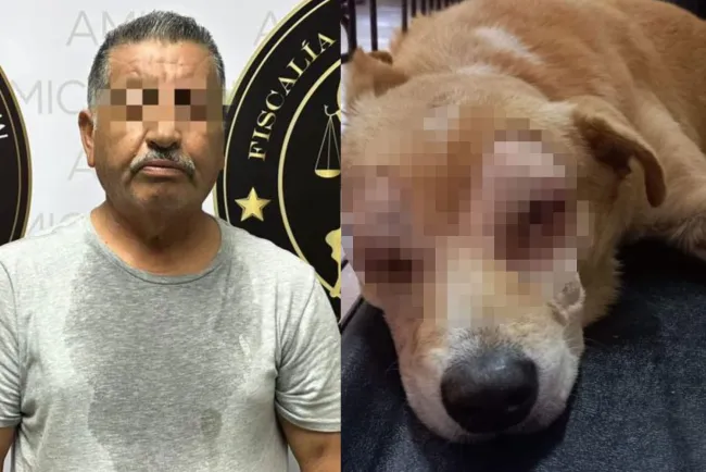 Arrestan a hombre por maltrato animal