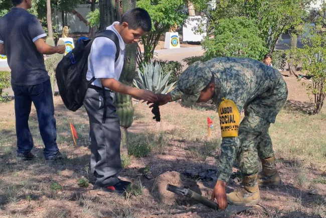 Termina campaña de reforestación de la Sedena