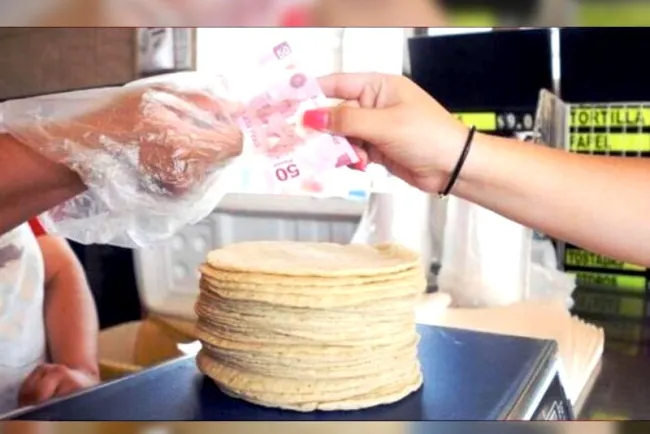 Supera los 30 pesos por kilo el precio de la tortilla de maíz en México