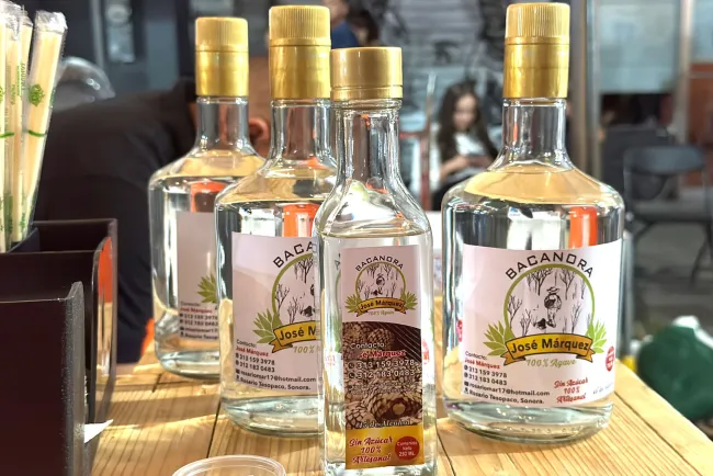 Todo un éxito Expo Bacanora genera derrama económica