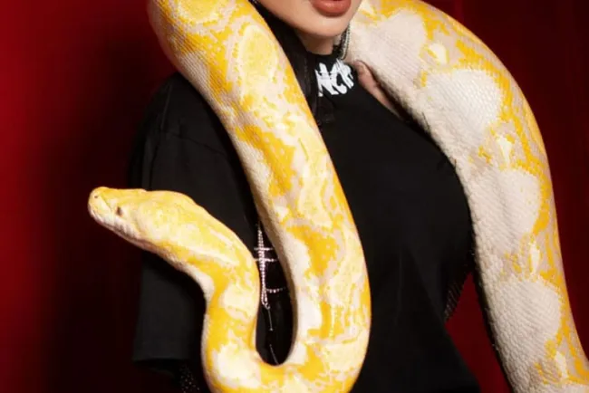 Concientizan sobre animales exóticos