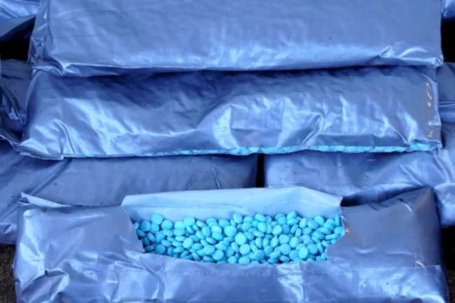 Autoridades de la CBP logra importantes decomisos