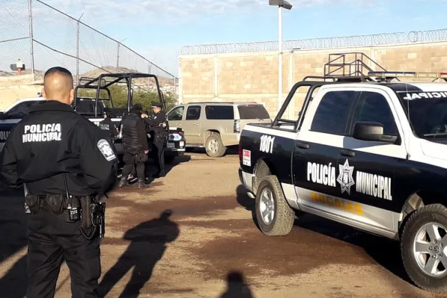Escapan dos ‘pitbulls’ de casa y atacan a perro pequeño