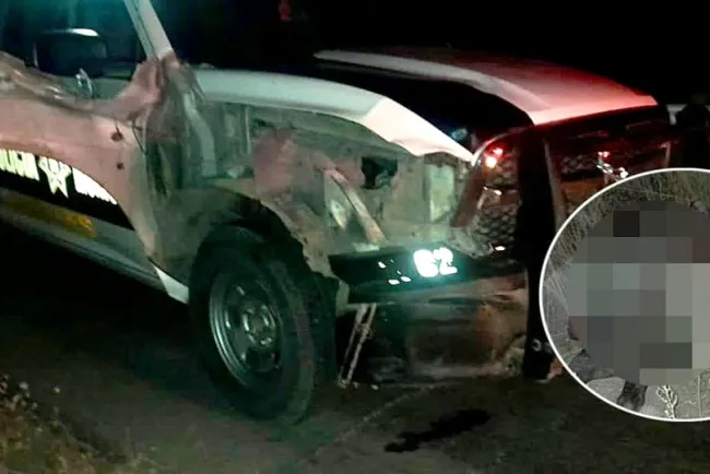 Atropella patrulla de policía a vaquero y caballo; ambos perdieron la vida