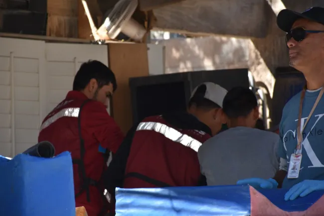 Realizan jornada de esterilización de mascotas en Jardines de la Montaña