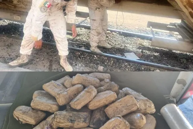 Localizan metanfetaminas en vagones del tren