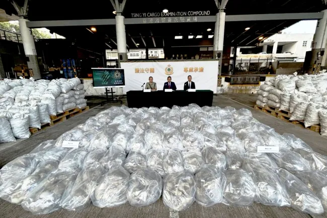 Decomisan más de una tonelada de narcóticos, venía de México en costales de Segalmex