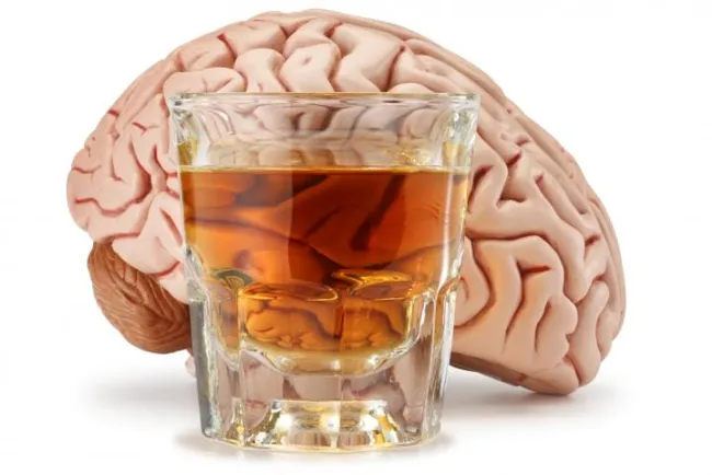 Tu cerebro tarda esto en repararse del daño causado por el alcohol
