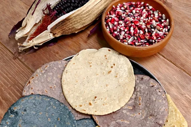 Tortilla de maíz ayuda en la prevención del cáncer: Estudio