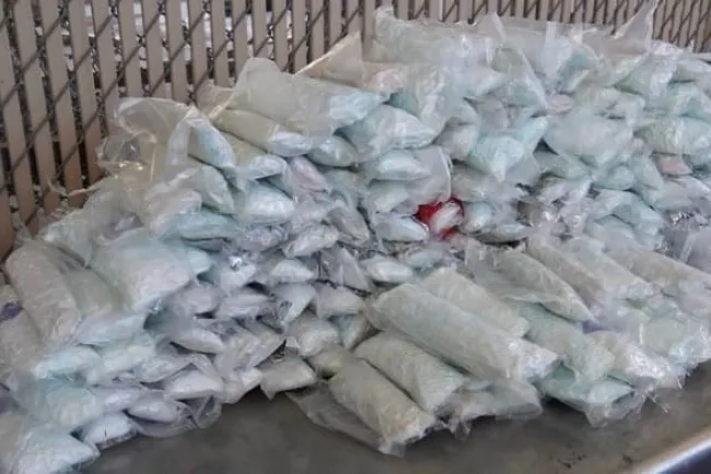 Decomisa la CBP más de medio millón de pastillas de fentanilo