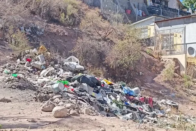 Ayuda Patrulla Ambiental en la limpieza de la ciudad