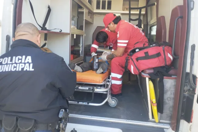 Atacan perros a niño, queda internado con lesiones graves