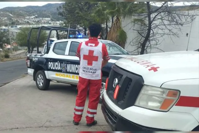 Muerde perro a niño frente a su casa