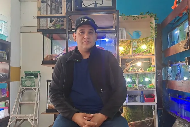 Emiten recomendaciones para mantener a salvo a mascotas