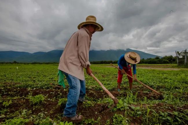 Localidades rurales las más productivos, pero con los salarios más bajos
