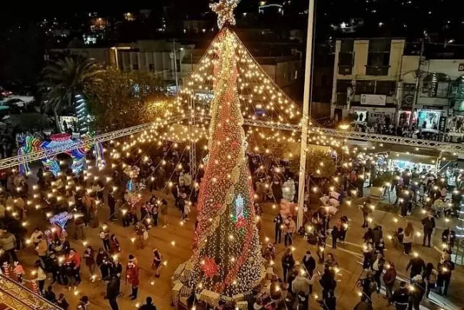 Encienden Árbol Navideño