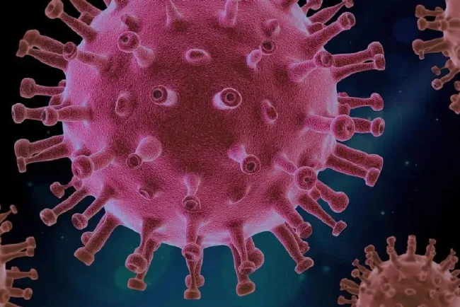 Pirola, nueva variante de Covid-19 llega a México