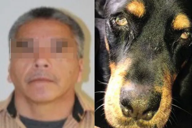 Agresor de la mascota ‘Sbanch’ está amparado; evita ser arrestado