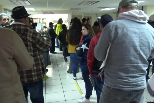 Cumplen nogalenses con obligaciones fiscales