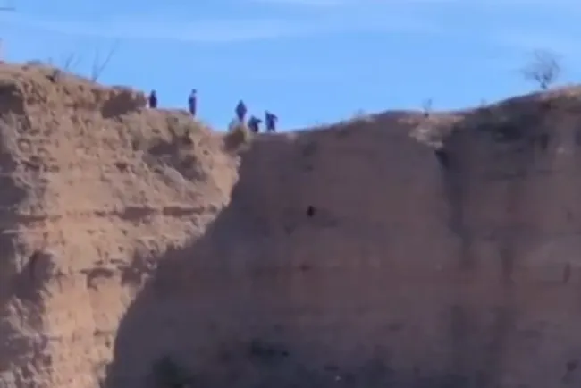 Bomberos rescatan a perro en Mascareñas
