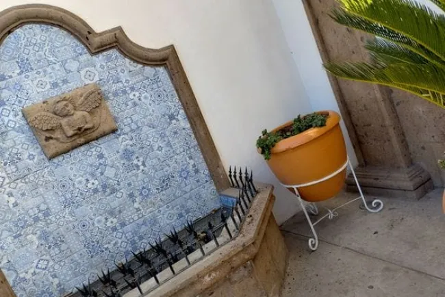 Roban planta en Catedral de Nuestra Señora de Guadalupe