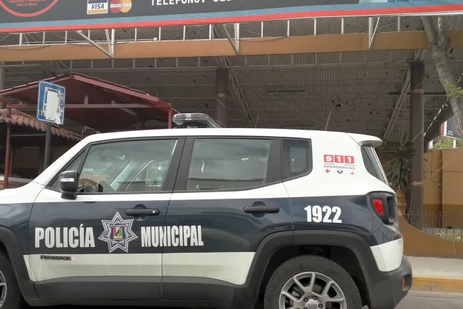 Se llevan varios instrumentos musicales de negocio comercial