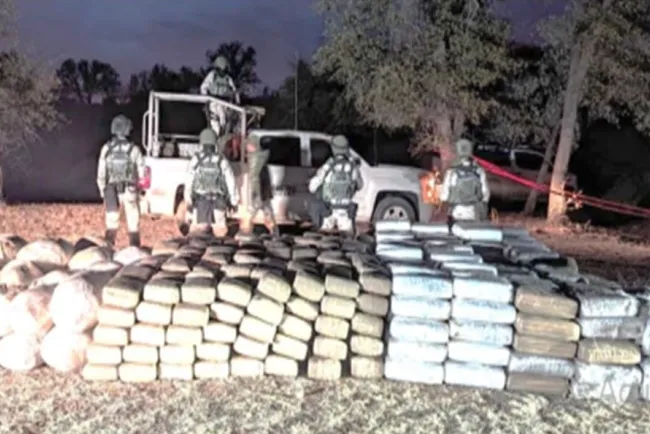 Localizan más de 2 toneladas y media de posible mariguana en Sonora