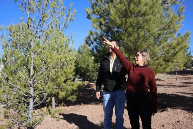 Verifican cumplimiento de Ley del Árbol en Las Acacias