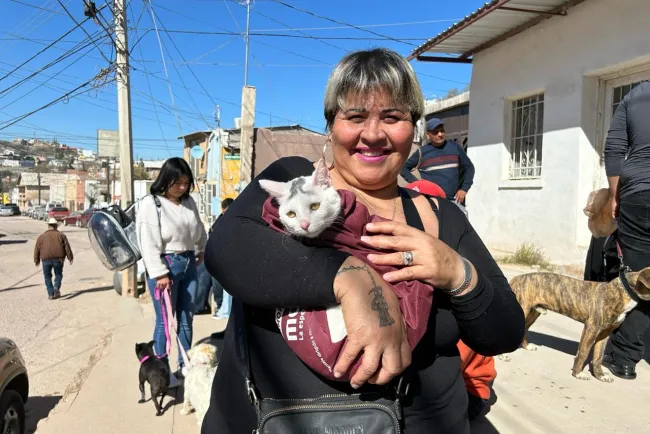 Atienden propietarios responsables de mascotas convocatoria para esterilizarlas