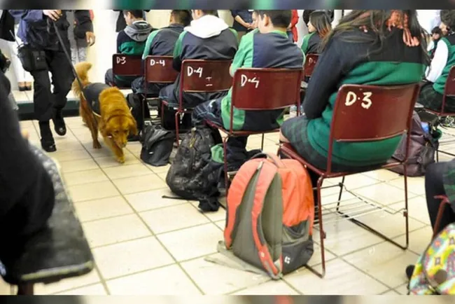 Pide la AEPAF realizar ‘operación mochila’ en escuelas