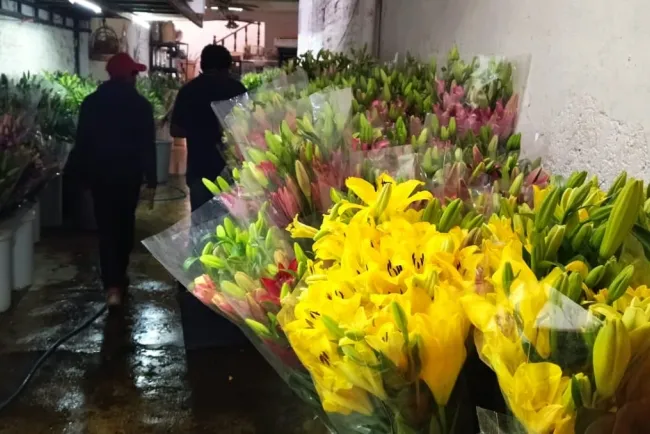 Se hace tendencia regalar flores el 29 de febrero