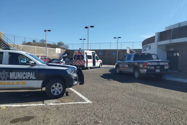 Localizan vehículo robado y lo regresan a su dueño