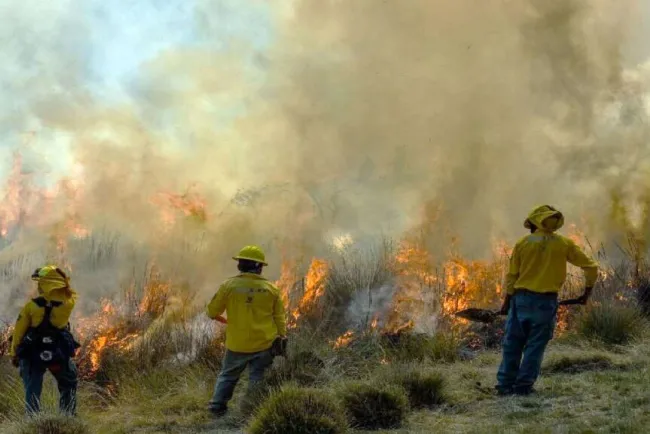 Exhorta la UMPC a evitar incendios forestales