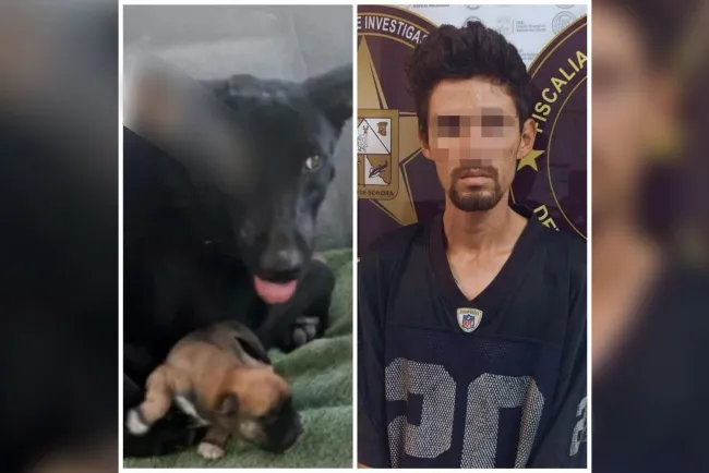 Agresor de “Negrita” pasará 2 años en la cárcel