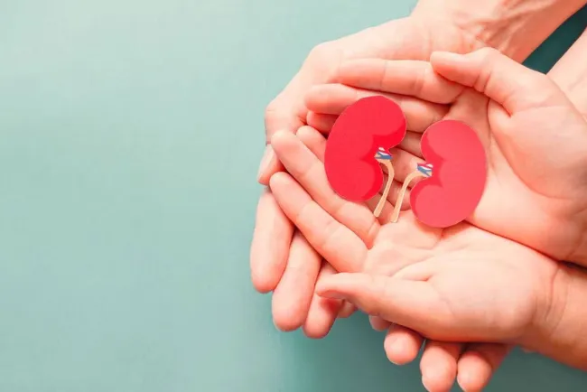 Promueven atención médica por enfermedades renales