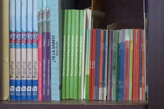 Refuerzan el hábito de la lectura en la niñez