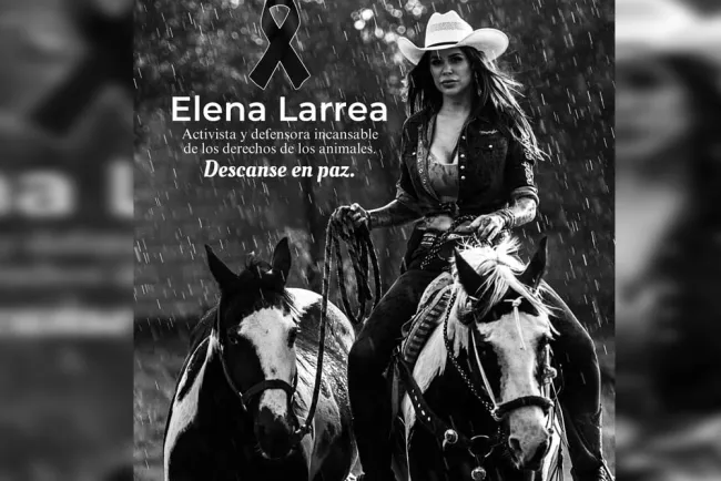 Lamentan muerte de Elena Larrea activista y fundadora de Cuacolandia