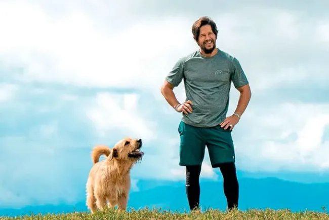 “Arthur: Una amistad sin límites“, deja huella