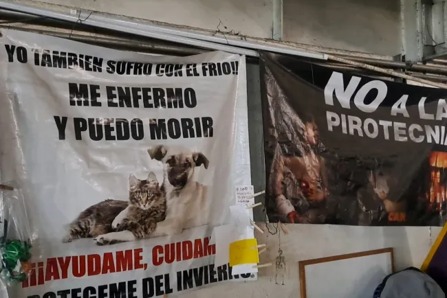 Invitan a bazar en pro de los animales