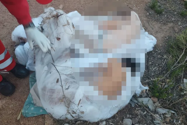 Rescatan a dos hombres que dejaron lesionados en predio despoblado