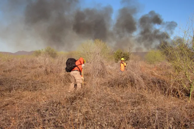 Sofocan incendio forestal en Quiriego