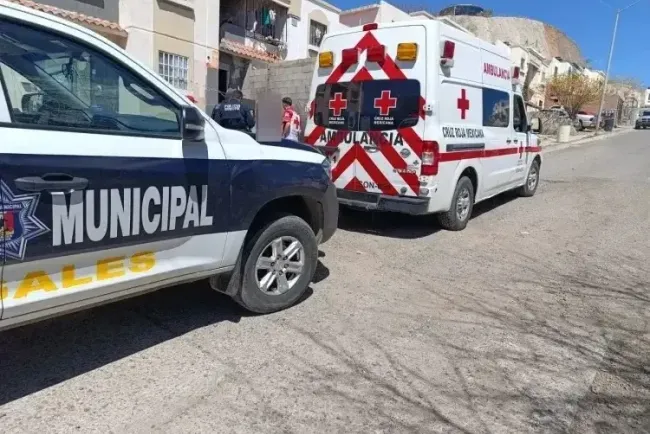 Amistad traicionada: mujer golpeada por su amigo en Nogales