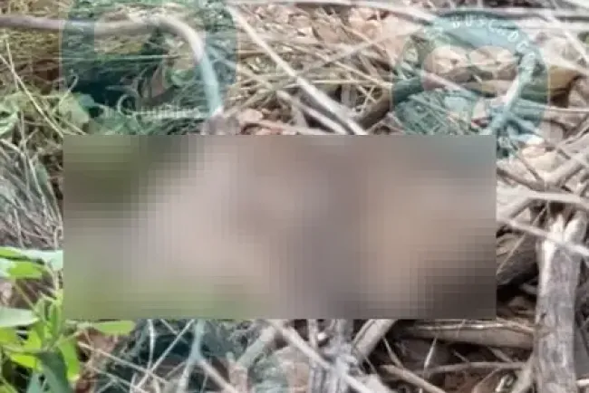 Encuentra cuerpo de hombre cerca de Monarca en Nogales