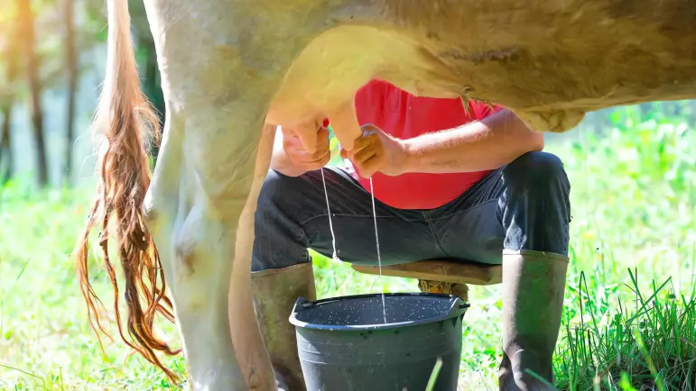 Asesinato en Samambaia: Un Caso Extraño
