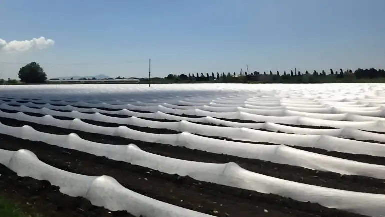 Recomendaciones de Sagarhpa para proteger el sector primario del frío
