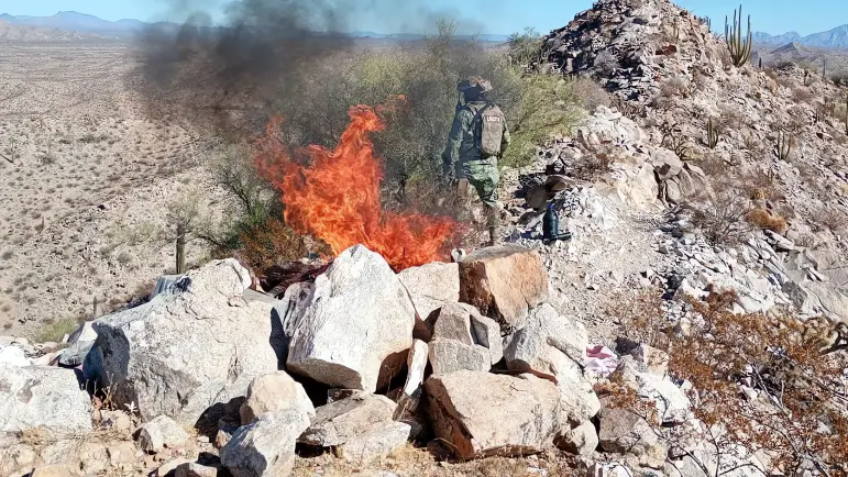 Desmantelan campamentos de grupos armados en la frontera

