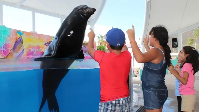 Sonora se viste de fiesta: ¡Áreas recreativas abiertas en Semana Santa!
